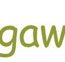 Bungawitta Child Care Centre - Gold Coast Child Care