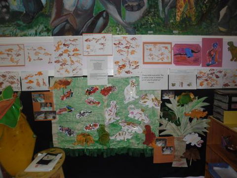 Tiny Tots Early Learning Centre - Gold Coast Child Care 1