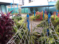 Mackay QLD Schools and Learning Gold Coast Child Care Gold Coast Child Care
