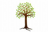Kadina Child Care Centre - Gold Coast Child Care 0