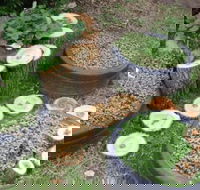 Honeybee Preschool - Gold Coast Child Care