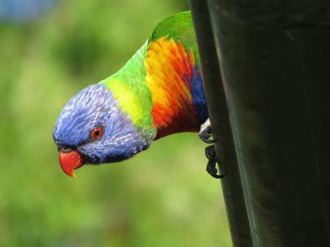 Elite Edge Sports & Learning Centre - Gold Coast Child Care 5