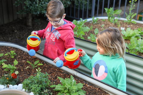 Sylvania Waters Early Education - Gold Coast Child Care 1