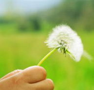 Green Beginnings Child Care Centre  Kindy