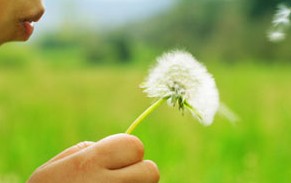 Green Beginnings Child Care Centre & Kindy - Gold Coast Child Care 0