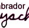 Labrador Playschool - Gold Coast Child Care