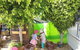 Charlestown East Educational Preschool - thumb 8