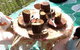 Honeybee Preschool - thumb 8