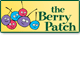 Berry Patch Preschool - Gold Coast Child Care